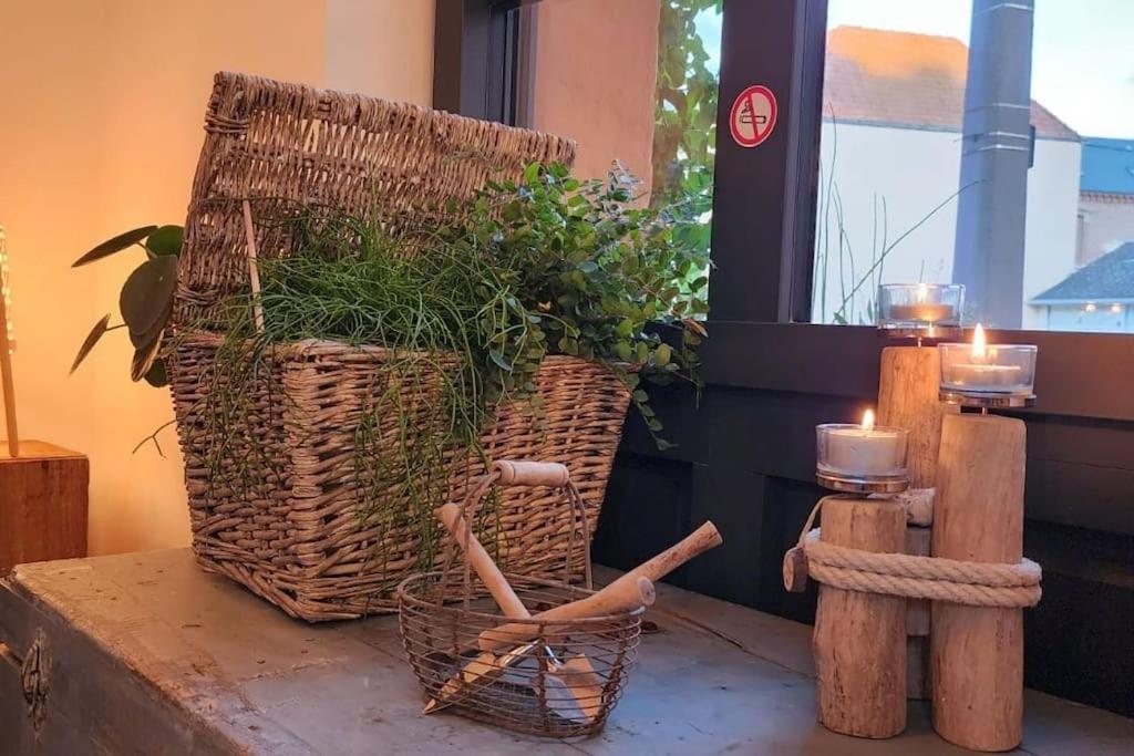 La Baigneuse Maison Avec Jardinet Et Parking Prive, A 200 M Plage Cayeux-sur-Mer Ngoại thất bức ảnh